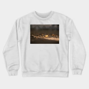 Seashell at Sea 4 Crewneck Sweatshirt